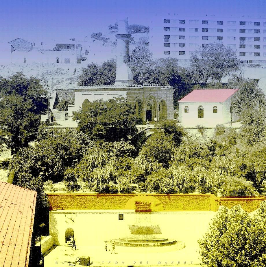 TIARET 050  MONNERET.jpg